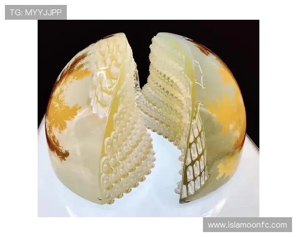 凯时尊龙带你领略顶级线上娱乐体验，享受极致游戏乐趣与安全保障