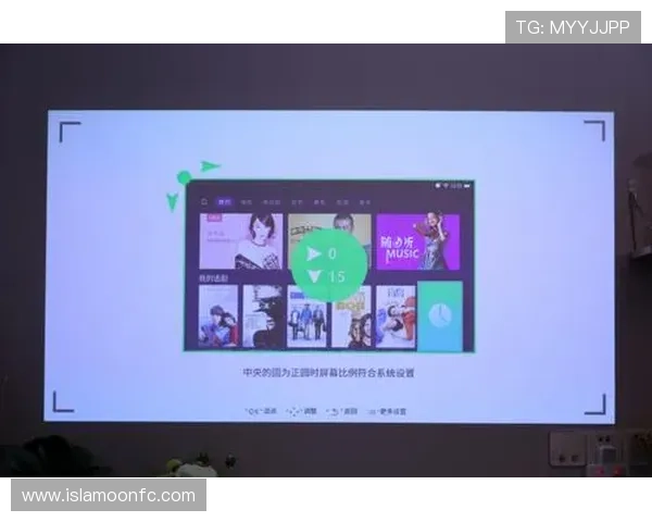 Z6体育网站的用户评价与口碑分析,选择平台的最佳参考依据