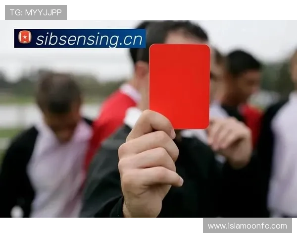 尊龙官方网站官网入口:官方入口的登录流程详细步骤与安全提示