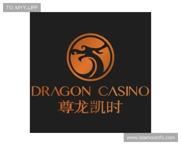 尊龙时凯中国集团旗下人生官网提供的个性化服务与用户体验优化方案