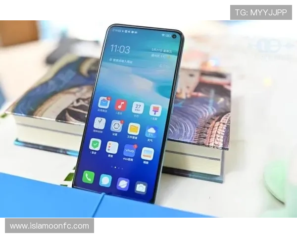 Z6备用会员的优势与限制详解，帮助玩家合理规划会员权益最大化游戏收益