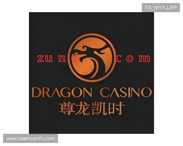 尊龙凯时平台入口登录遇到问题怎么办?详细解决方案与客服联系方式